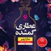 رمان
